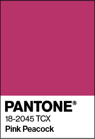 pink-peacock