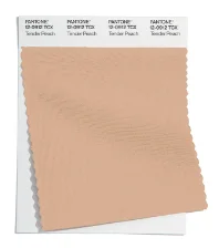 01-pantone-fcr-amostras-tcx