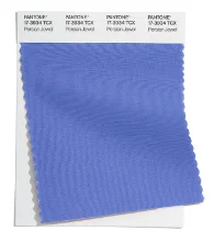 07-pantone-fcr-amostras-tcx