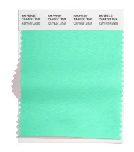 08-pantone-fcr-amostras-tcx
