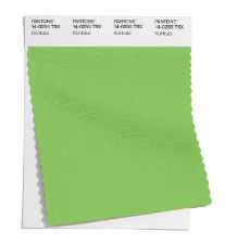 10-pantone-fcr-amostras-tcx