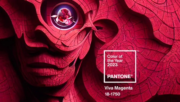 (c) Pantone.com.br