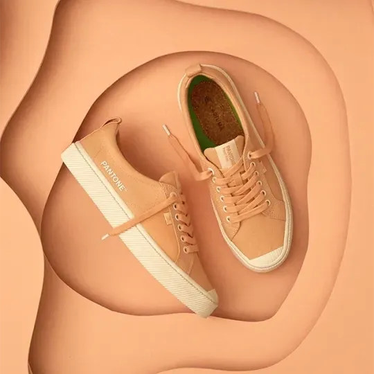 Pantone Cor do Ano 2025