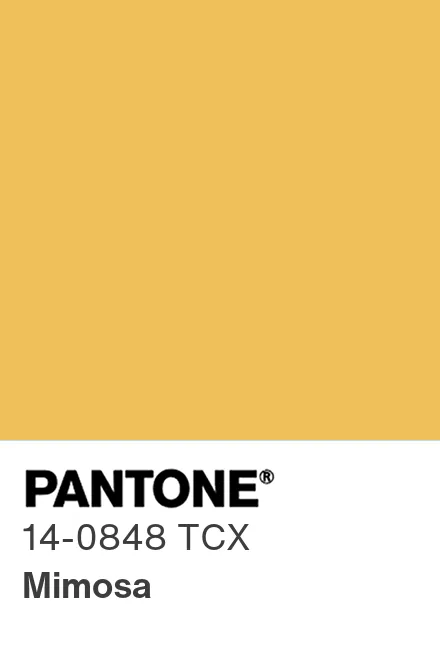 Chip Pantone Cor do Ano